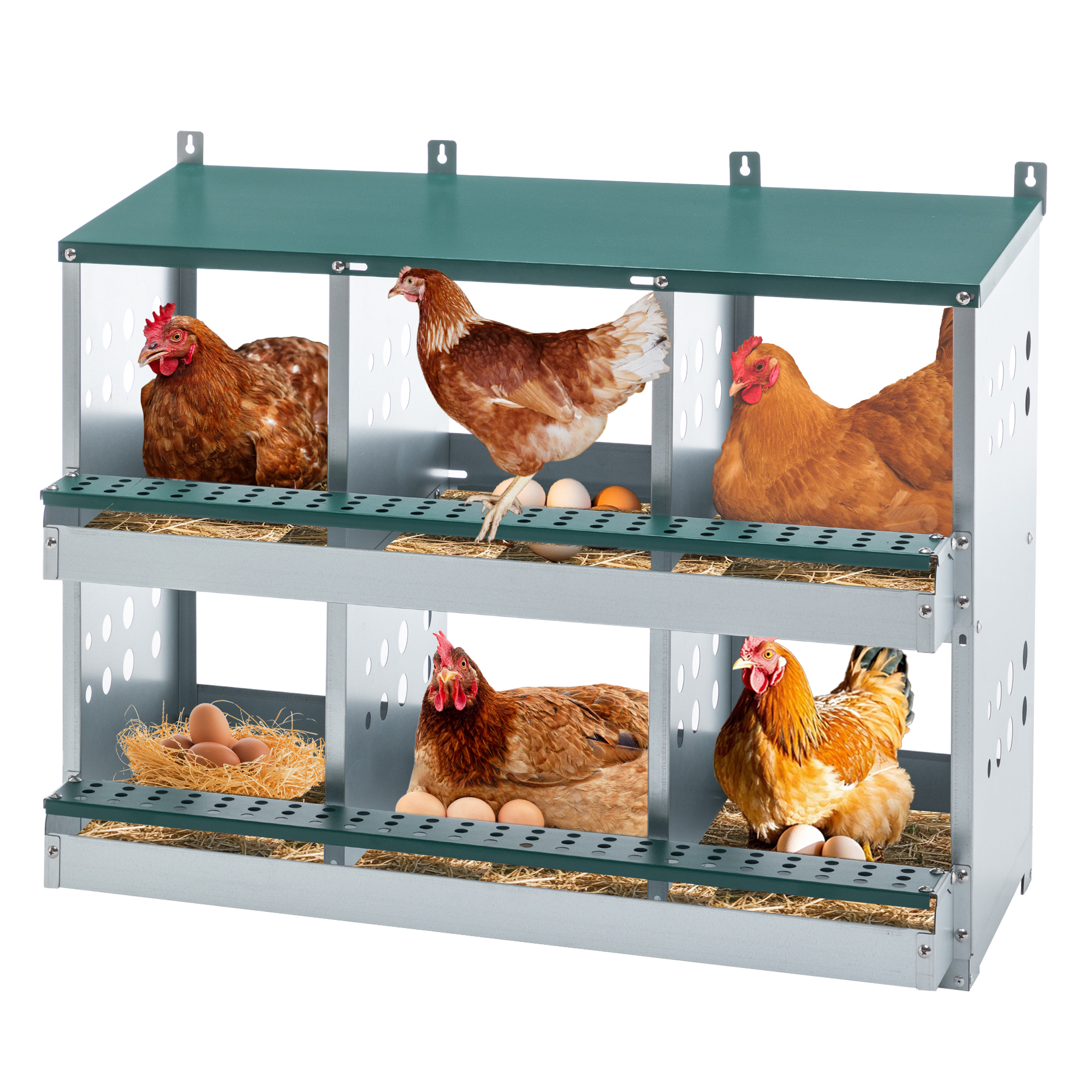 Nidal para gallinas de 6 compartimentos, con recolección de huevos, verde