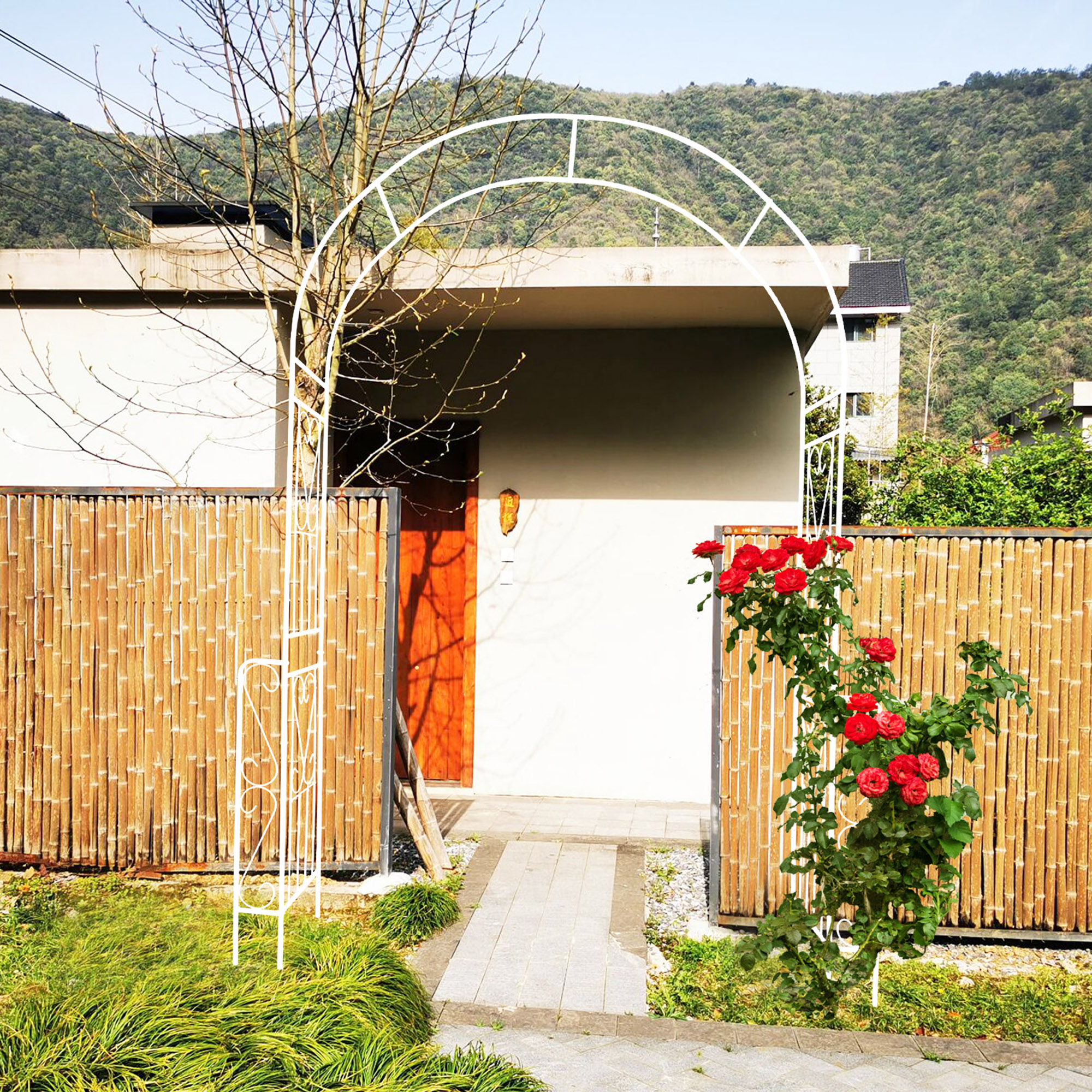 Arco de jardín de metal 55 x 94.5 pulgadas, para plantas trepadoras, blanco crema.