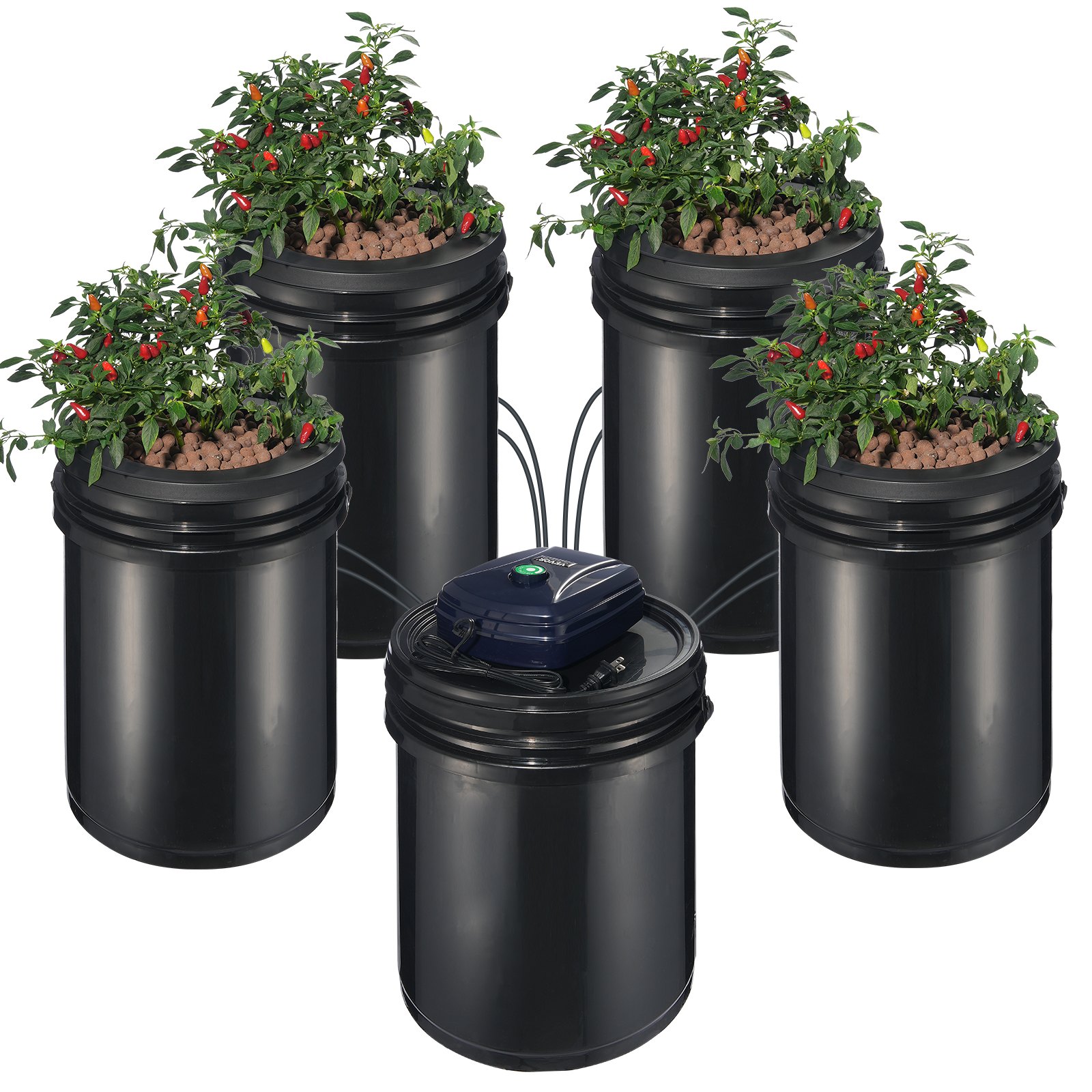 Sistema hidropónico RDWC de recirculación, 4 cubos de 5 galones