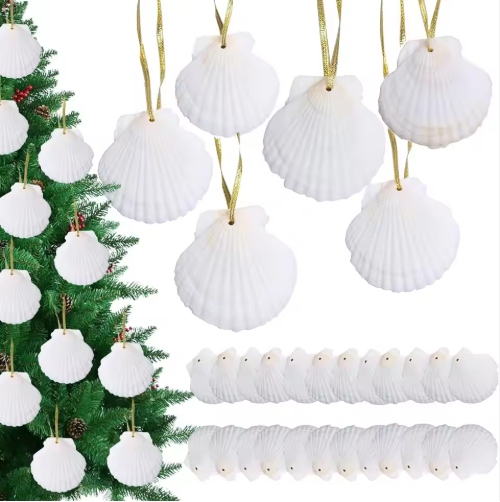 24 conchas de vieira blancas naturales de 2-3 pulgadas para adornos navideños