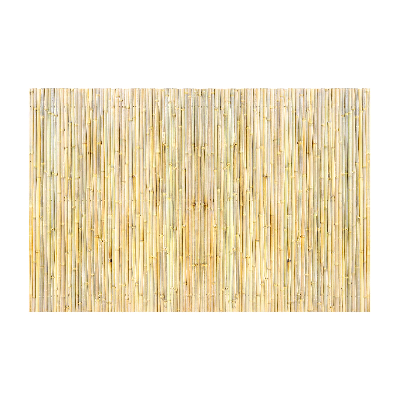 Natural Rolled Bamboo Fence Bamboo Panel 6 Ft H X 8 Ft L X 0.75 In D.